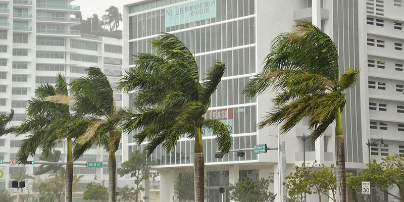 Tips To Protect Your Miami Business From A Hurricane